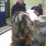 Scheraktion TH Eichendorf - Stanley