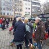 Galgo-Marsch-2019-Köln