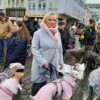 Galgo-Marsch-2019-Köln